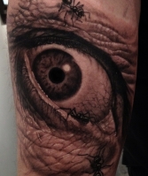 dali eye