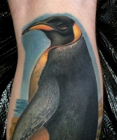 emperor penguin