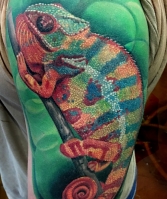 Healed panther Chameleon 